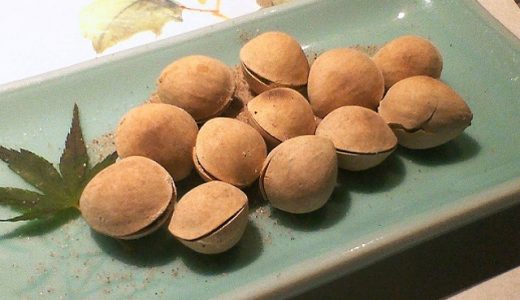 銀杏で腹痛になることがある?吐き気・ふらつきが見られたらヤバい!銀杏中毒とは