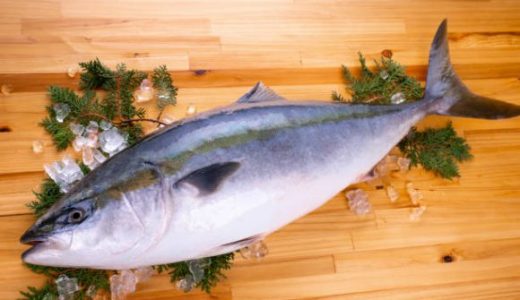 妊娠中(妊婦)でもイナダは食べられる魚!栄養･効果｜水銀･刺身の危険性は?