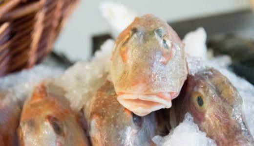 妊娠中(妊婦)でもホウボウは食べられる魚!水銀の危険性･栄養･効果