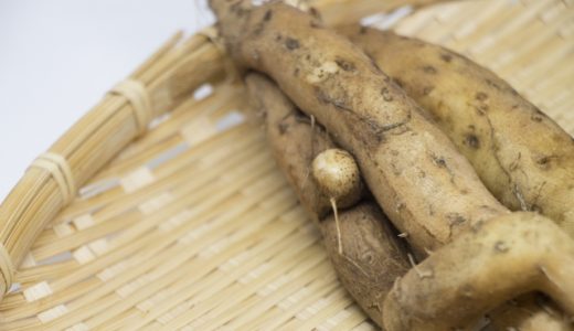 自然薯は生でも食べられる?食べ方･すり方｜むかごや山芋との違いは?