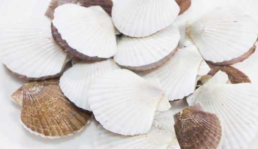 二枚貝の種類だけの食中毒?貝毒って何?気を付けるべきポイント