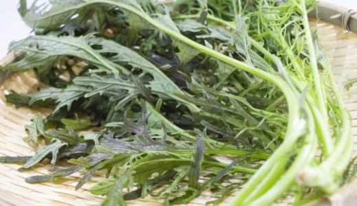 高菜と野沢菜の違いって?からし菜は別のもの?それぞれの選び方や特徴とは?