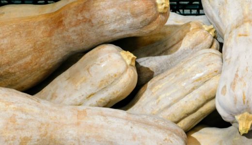 鶴首かぼちゃは追熟させるとすごい⁉まるで砂糖を使っているような甘さに⁉