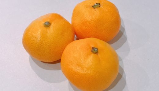 ヤノネカイガラムシがみかんに…みかんの皮についている黒い点について