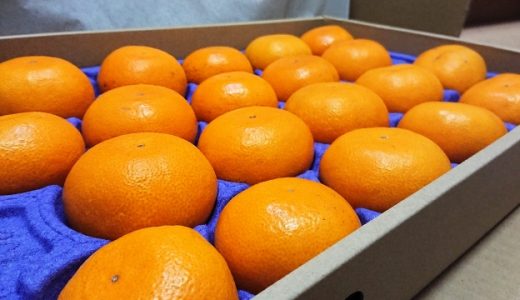 みかんを食べたら胃が痛い…胃もたれや胃痛の原因は？胃が痛い時の対処法を解説！