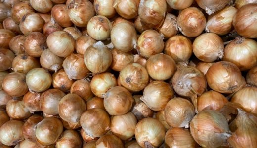 玉ねぎの食べ過ぎで体臭がきつくなるって本当?一日どれくらいなら食べても良いの?
