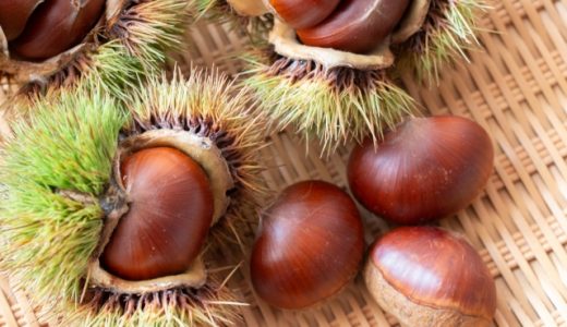 栗きんとんは太る?カロリーはどれくらい?正月太りの原因になるおせち料理とは?