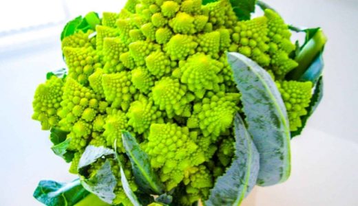 ロマネスコが気持ち悪い理由は?調理法・食べ方・含まれる栄養素などを解説