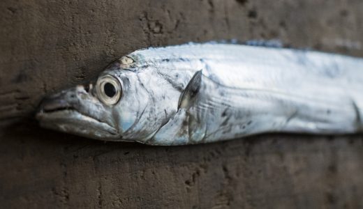 太刀魚ってどんな味?味噌汁や味噌漬けなど味噌と相性抜群!刺身もおすすめ!