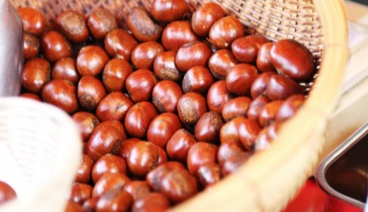 甘栗を毎日食べるのは体に良いの?食べ過ぎるとどうなる?気になる栄養素や効果効能