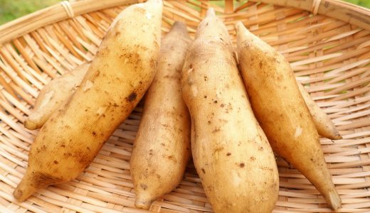 ヤーコンを食べるとどんなもの?食べ過ぎると下痢になる?栄養はある?