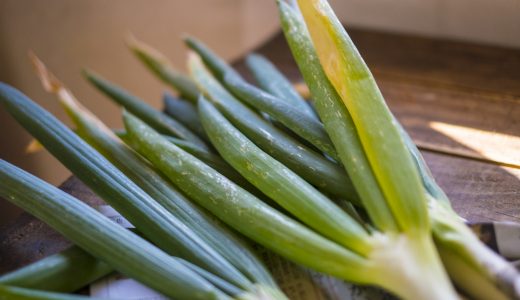 下仁田ネギの食べるところってどこ？特徴や食べ方やおすすめレシピも
