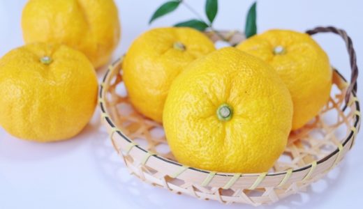 ゆずとレモンの栄養素の違いを解説！それぞれに合った使い道を知る！