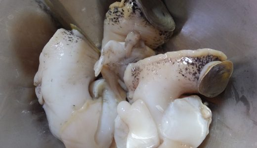 つぶ貝の食べ過ぎによるアレルギー症状･テトラミン食中毒｜解毒方法･対処法