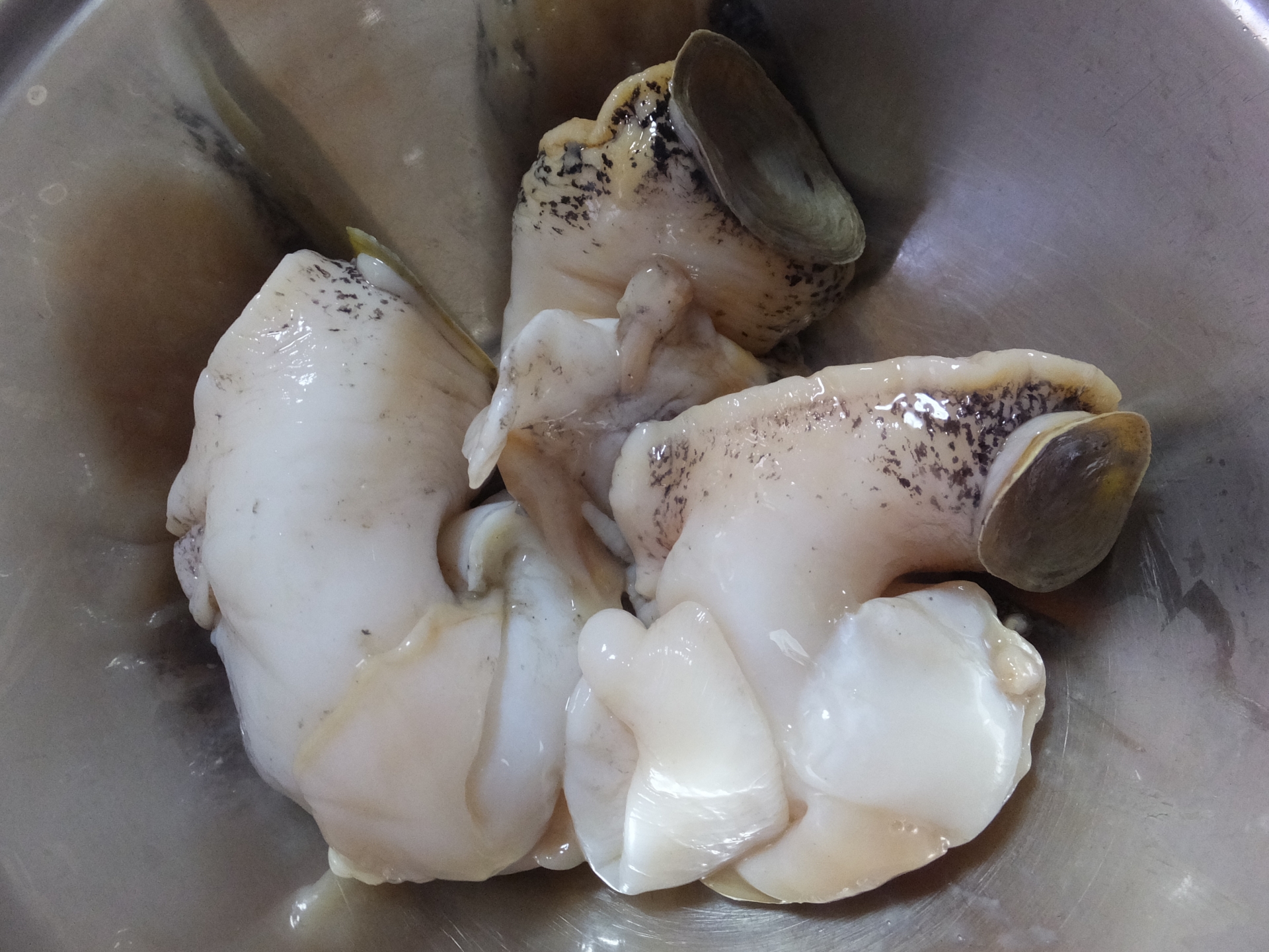 つぶ貝の食べ過ぎによるアレルギー症状 テトラミン食中毒 解毒方法 対処法 お役立ち 季節の耳より情報局