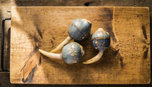 くわいは生で食べられる?どんな食べ方がある?保存方法やおすすめレシピも