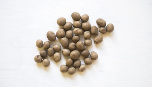 むかごはまずい？美味しい？旬はいつ？おすすめのレシピもご紹介！