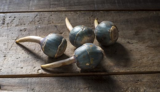 くわいが苦い！生でも食べられる？シャキシャキにさせる下処理方法