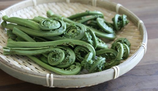 こごみに似た毒草・植物の特徴は?赤こごみ・鬼こごみ・葉っぱは危険?