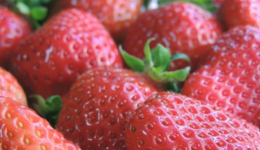 紅ほっぺととちおとめはどっちを選べばいいの?甘さや酸味の強さの比較・栄養価