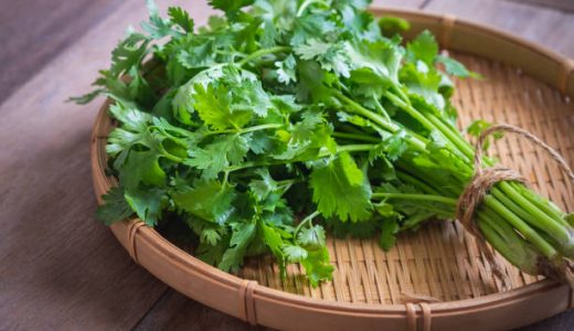 パクチーは便秘に効果あり！デトックス食材の上手な食べ方を解説！