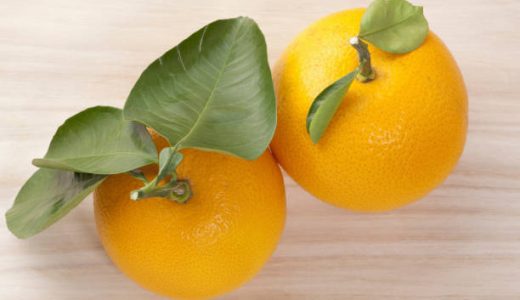 はっさくが苦い原因は苦味成分ナリンギン!食べ方･食べ頃･栄養は?