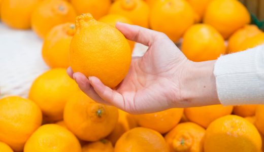 デコポンと不知火（しらぬい）は違いがある！由来・味・見た目・旬は？