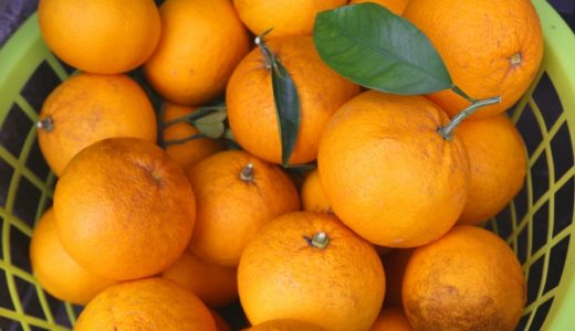 夏みかんが苦い・酸っぱい時の対処法とは?甘く美味しくする方法!