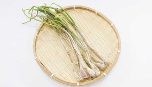 島らっきょうの日持ち･保存期間｜塩漬け･酢漬け･生の保存方法