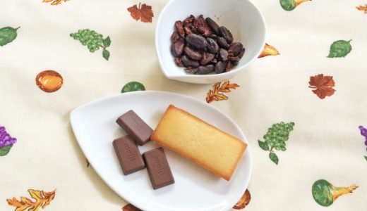 カカオニブの代用4選！使い道・保存方法・効能の違いを比較