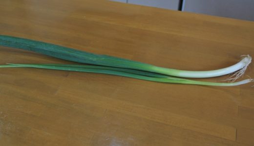 九条ねぎはどこまで食べられる？白い部分の栄養･切り方･保存方法