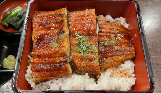 冷凍ウナギを解凍して美味しく食べる方法は？温めなおしできる？