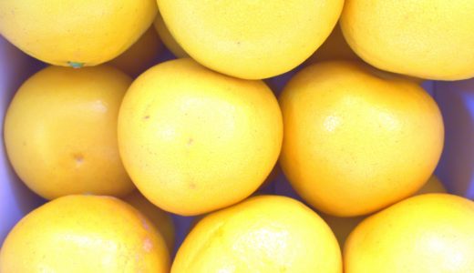 文旦（サボン）が酸っぱい…苦い味もするけど美味しい食べ方は？