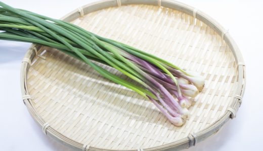 あさつきと小ねぎの違いは？別名がひろっこと呼ばれるあさつきの歴史