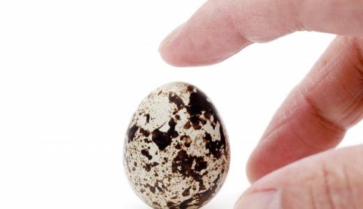 うずらの卵の食べ過ぎは体に悪い?コレステロールが危険?一日の量は?