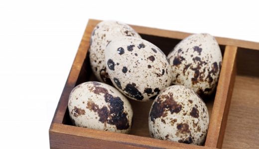 うずらの卵は生でそのまま食べられる?半熟もサルモネラ菌が危険?