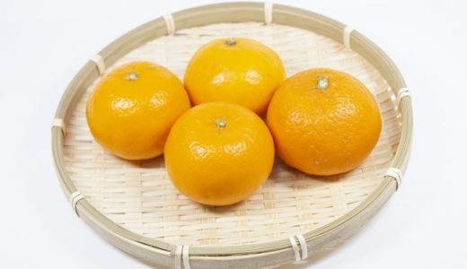 はれひめってどんなみかん？はるみみかんとの違いを値段・糖度で比較