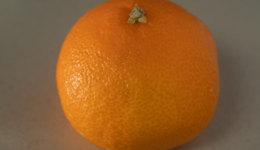紅まどんなはどんな味?美味しい?特徴や購入方法もご紹介