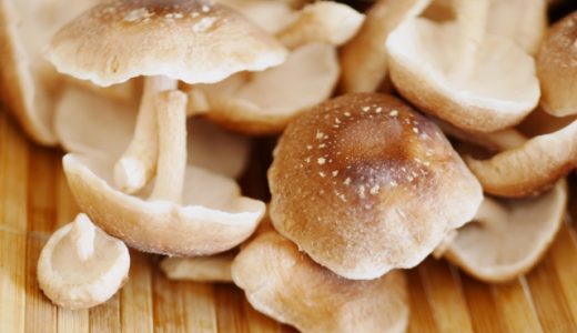 しいたけアレルギーの3症状｜対処方法･1日どのくらい食べていい？