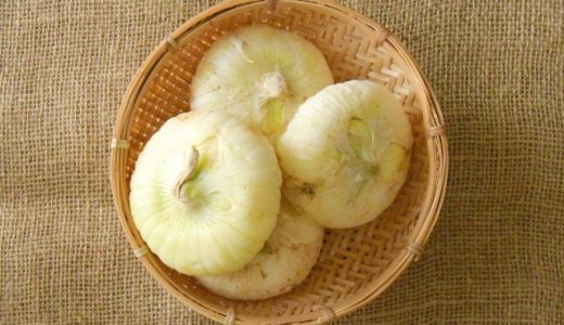 新玉ねぎがネバネバ・ぬるぬるは食べられる？腐るとどうなる？見分け方