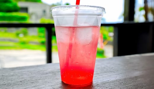 アセロラジュースは太る？原因やカロリー･糖質は？効果や適量は？