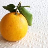 ばんぺいゆ(晩白柚)･ザボン･文旦の違いを比較!味･糖度･旬･生産地