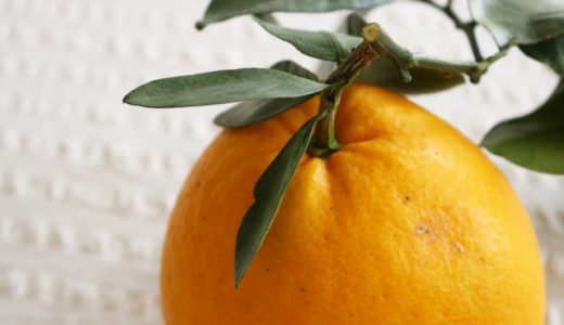文旦ピールの保存方法･日持ち｜古くなった文旦の皮で!熟成･貯蔵方法