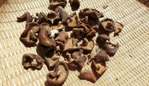 スライス干し椎茸をそのまま食べると危険?腸閉塞になる?使い方は?