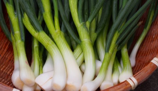 わけぎの保存方法･保存期間｜パラパラ冷凍･冷蔵｜どこまで食べれる？