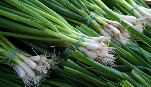 ネギを食べて胃もたれした時の解消法は？治す食べ物やツボを解説！