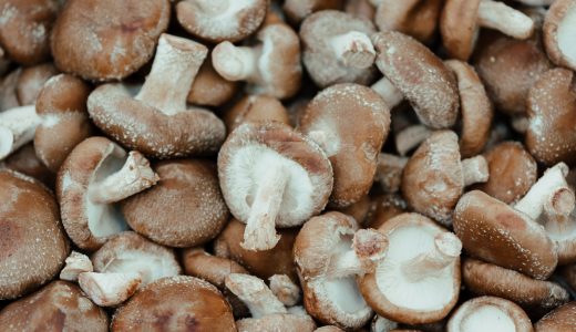 しいたけの日持ち･賞味期限｜冷凍で黒く変色?白いカビはNG?