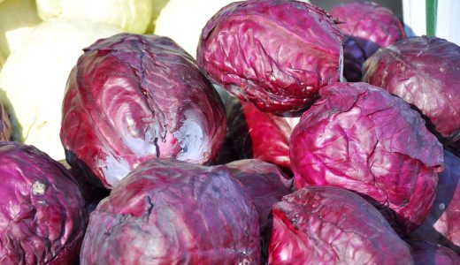 トレビスはどんな野菜?紫キャベツ•レッドキャベツの違いはなに？
