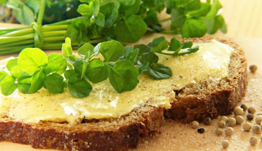 クレソンの味はルッコラに似てる？最強の栄養素を誇るクレソンとは