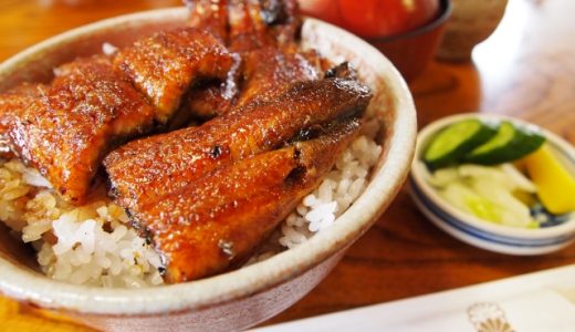 中国産のうなぎはまずいの?日本産との違いは?美味しくする方法を解説